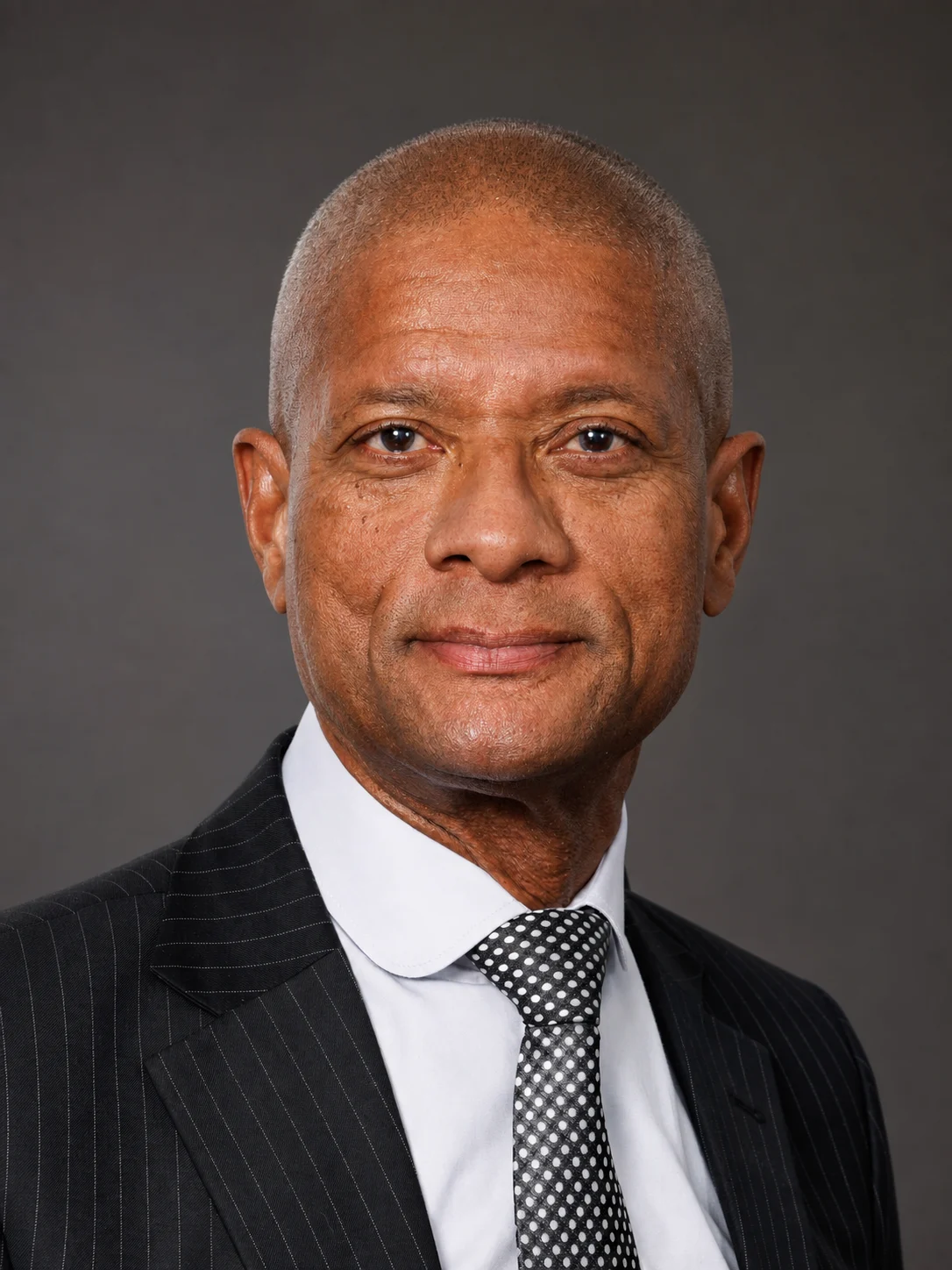Portrait of Dr Peter Goss, Chief Investigator - Madlanga Commission of Inquiry